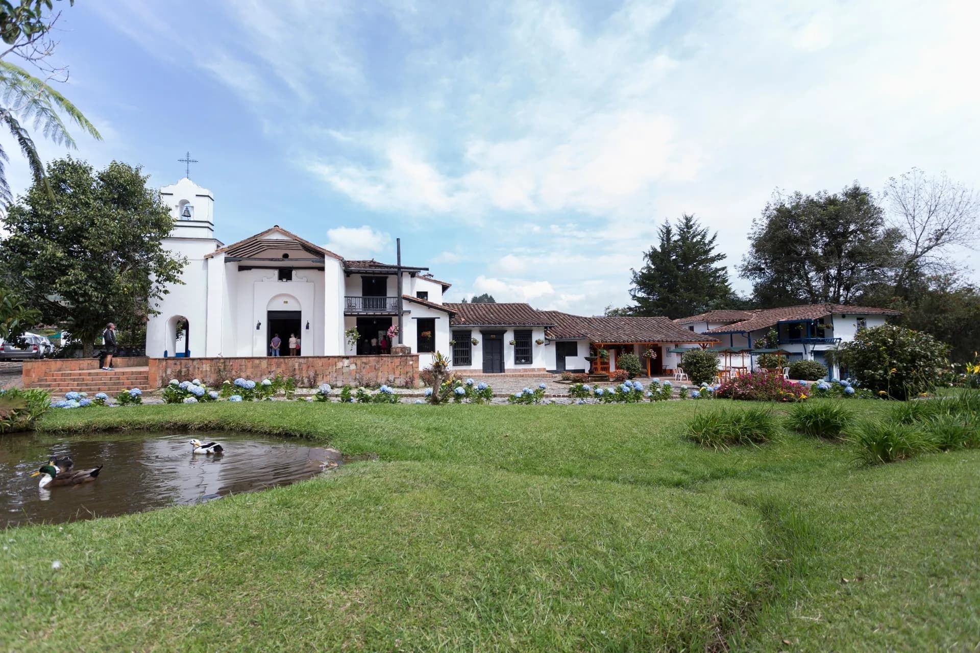 Orquídeas